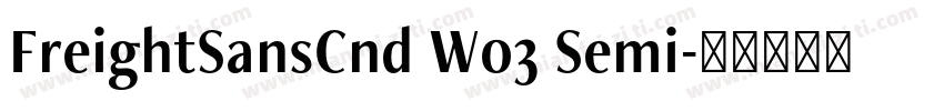 FreightSansCnd W03 Semi字体转换